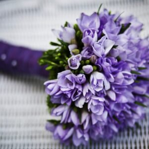 bouquet, nature, flowers